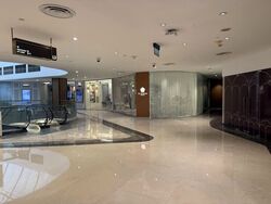 Palais Renaissance (D9), Shop House #566940291
